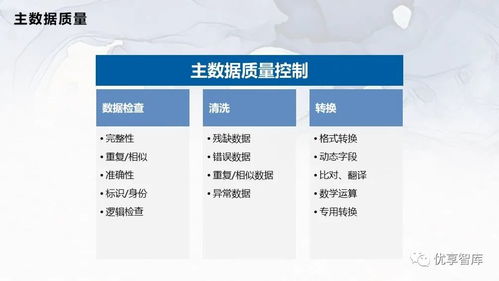 企业主数据管理总体架构与系统逻辑架构项目解决方案
